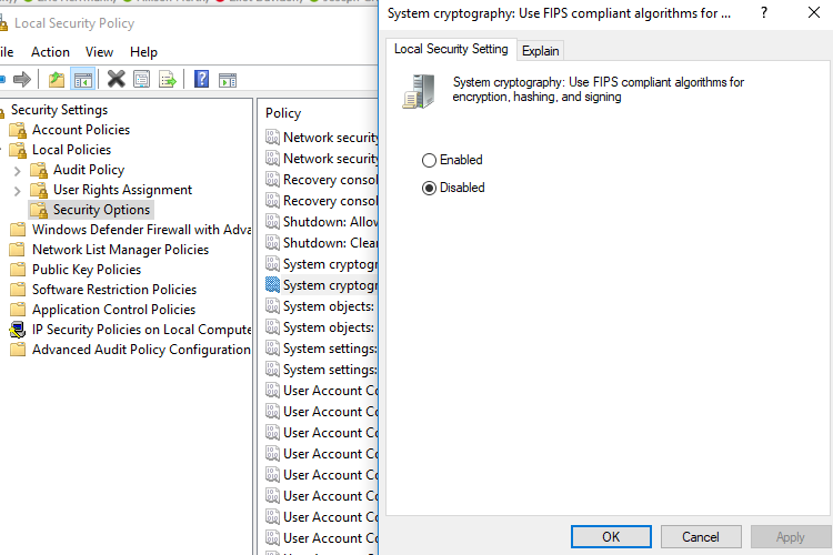 The Local Security Setting tab for the Security Options.